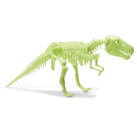 Fun Science Glow In The Dark T-Rex Unboxed Image