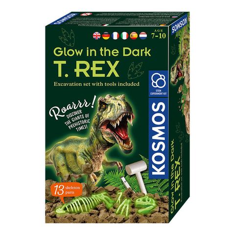 Fun Science Glow In The Dark T-Rex Box Main Image