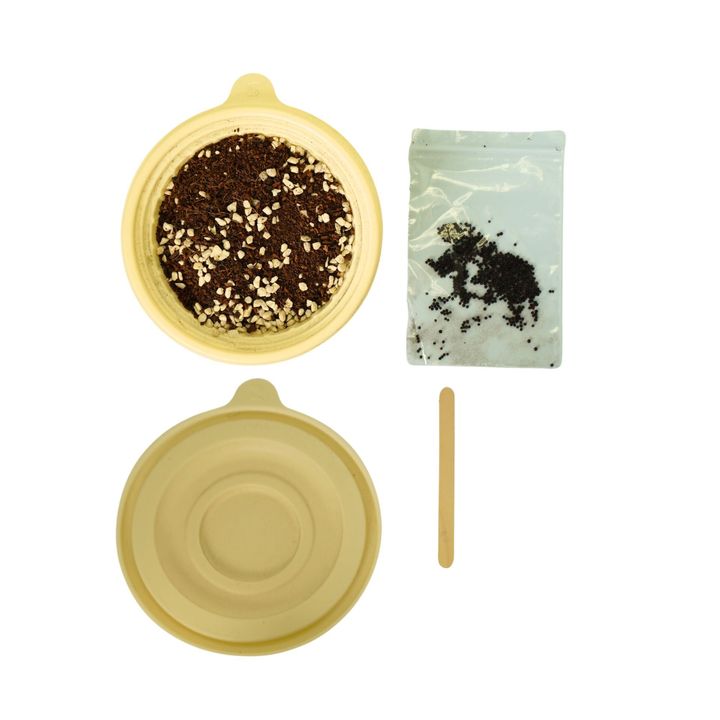 Tiny Green - Small Grow Kit (1)