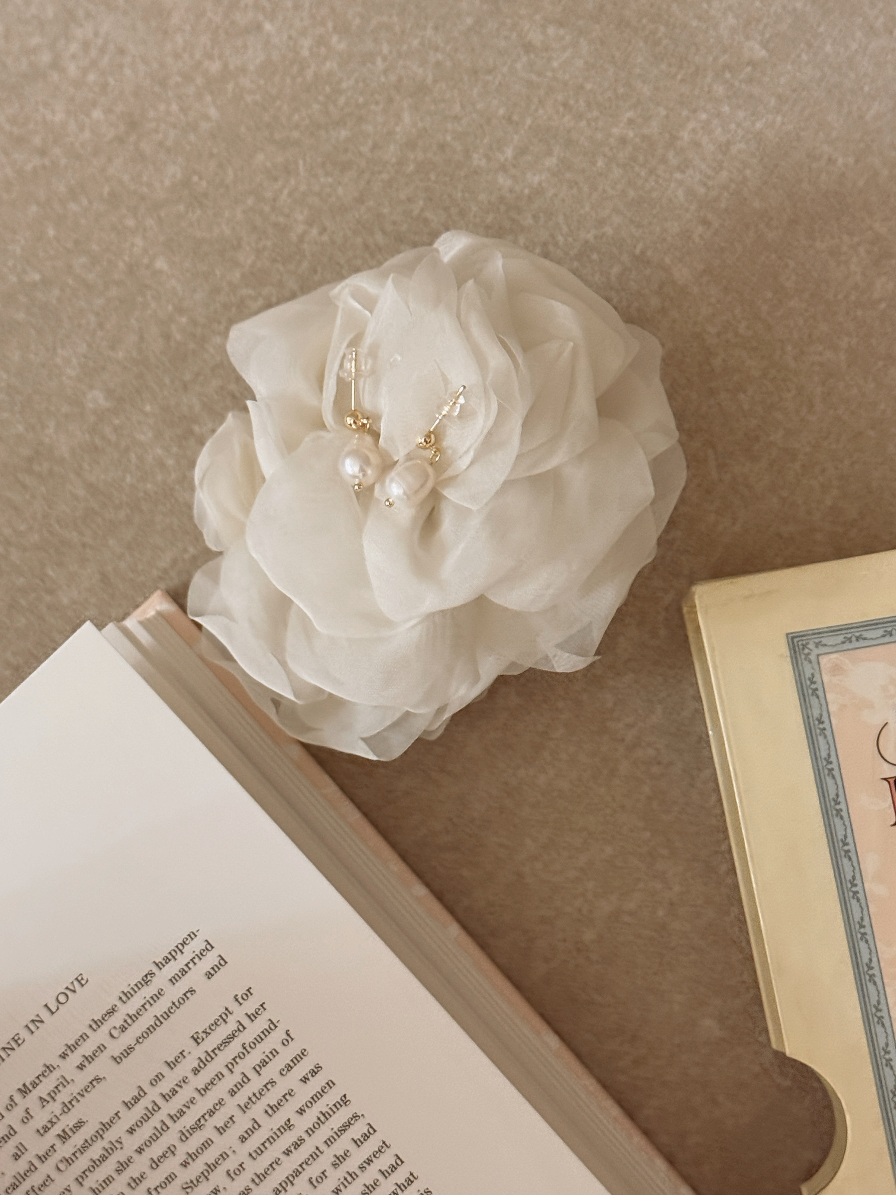 image_AB2C174B-BDEB-4CE1-9B26-3CDF01C01504_1760693680