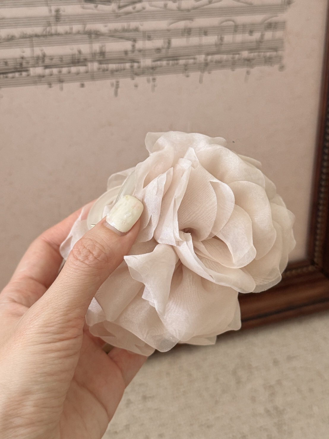 LINE_ALBUM_2025109_251009_13