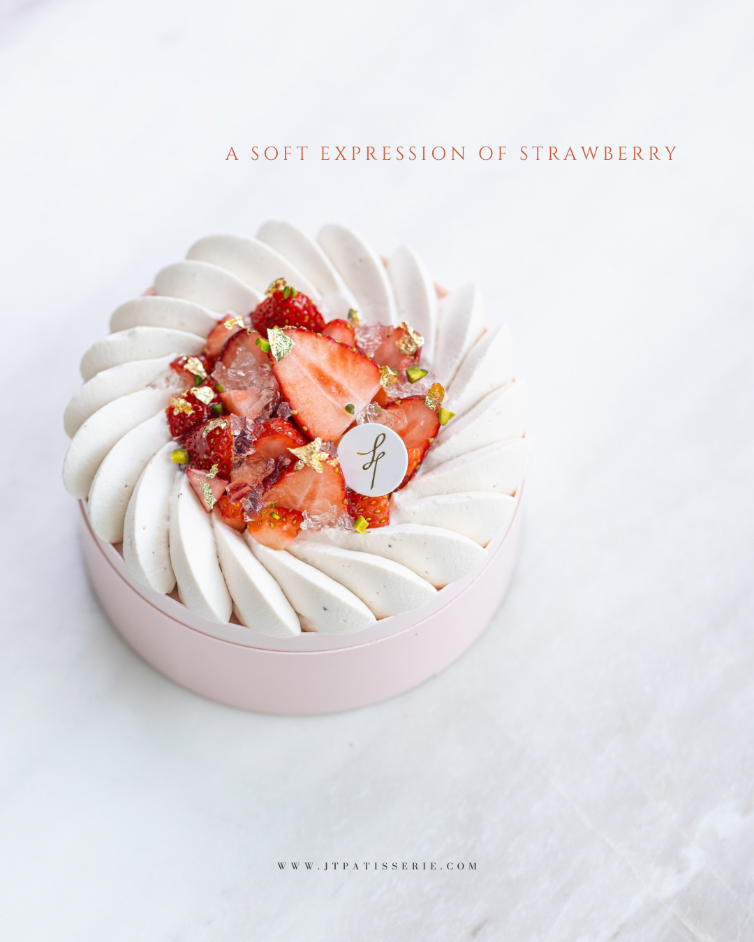 JT Product 2026 - 89