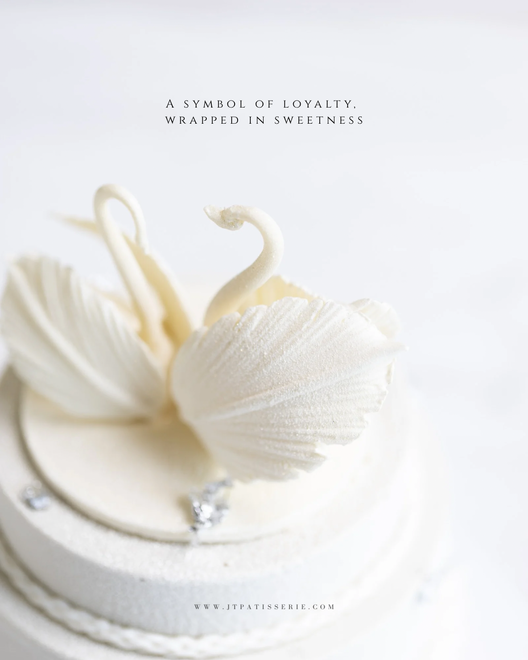 image_E129116F-2538-4625-BE4C-1981AF42D473_1770037771