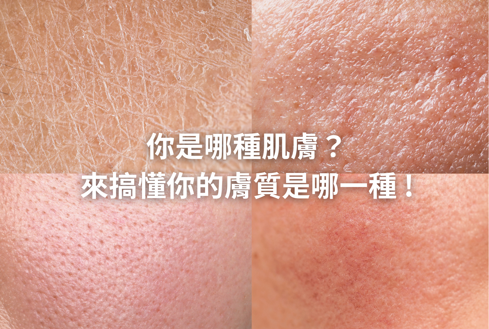 官網文章圖片 (16)