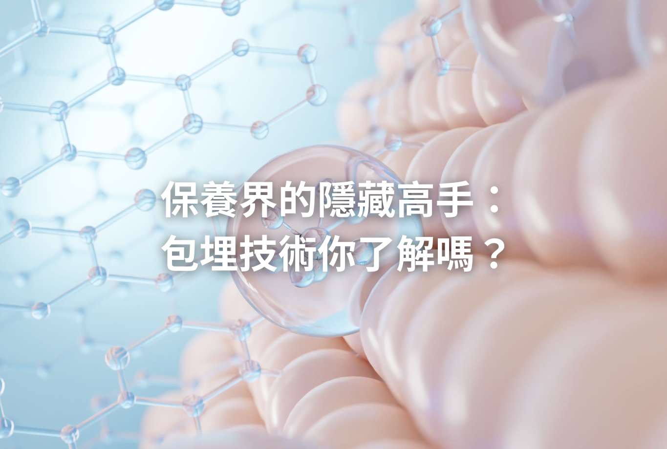 官網文章圖片 (12)