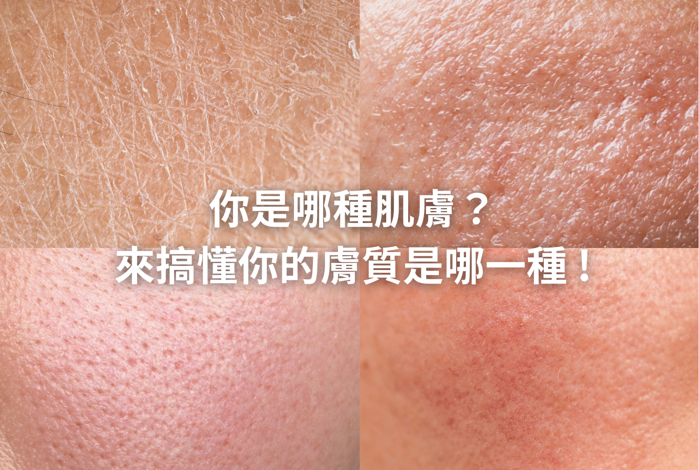 官網文章圖片 (46)