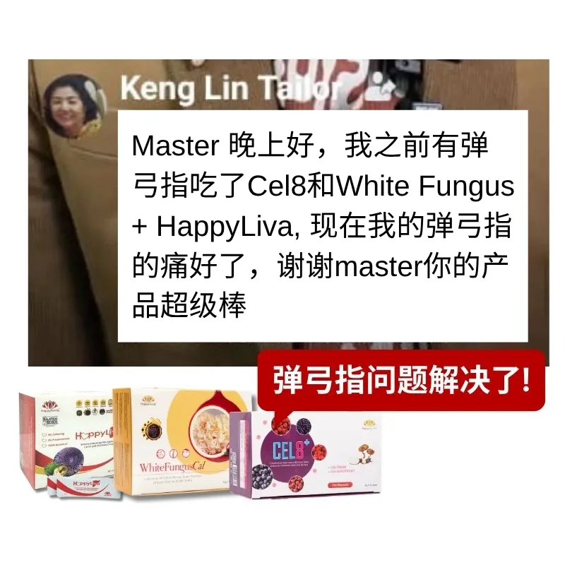 Cel 8 + WFC + HappyLiva 弹弓指