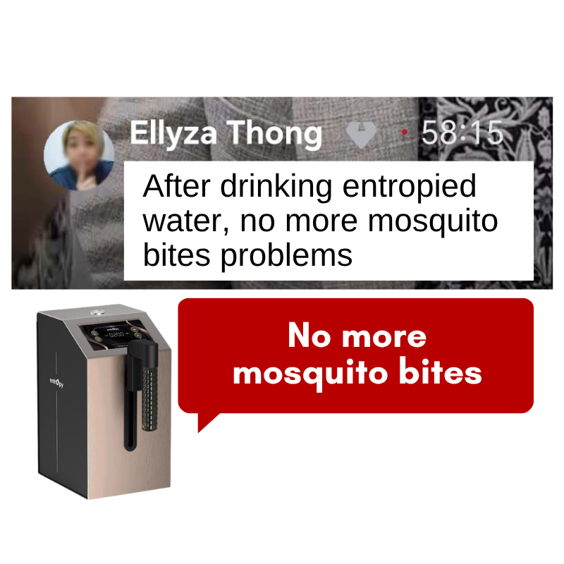 Entropy - No more mosquito bites