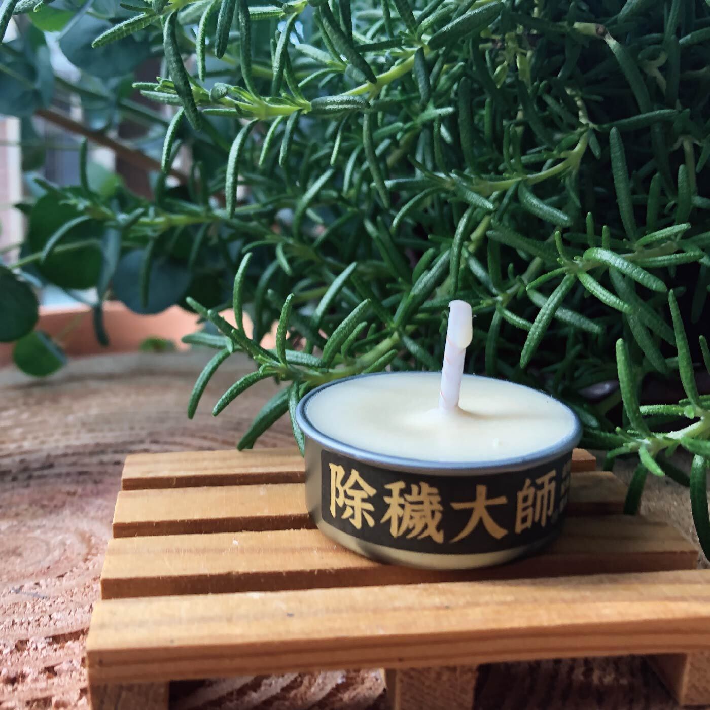 除穢鐵殼_工作區域 1