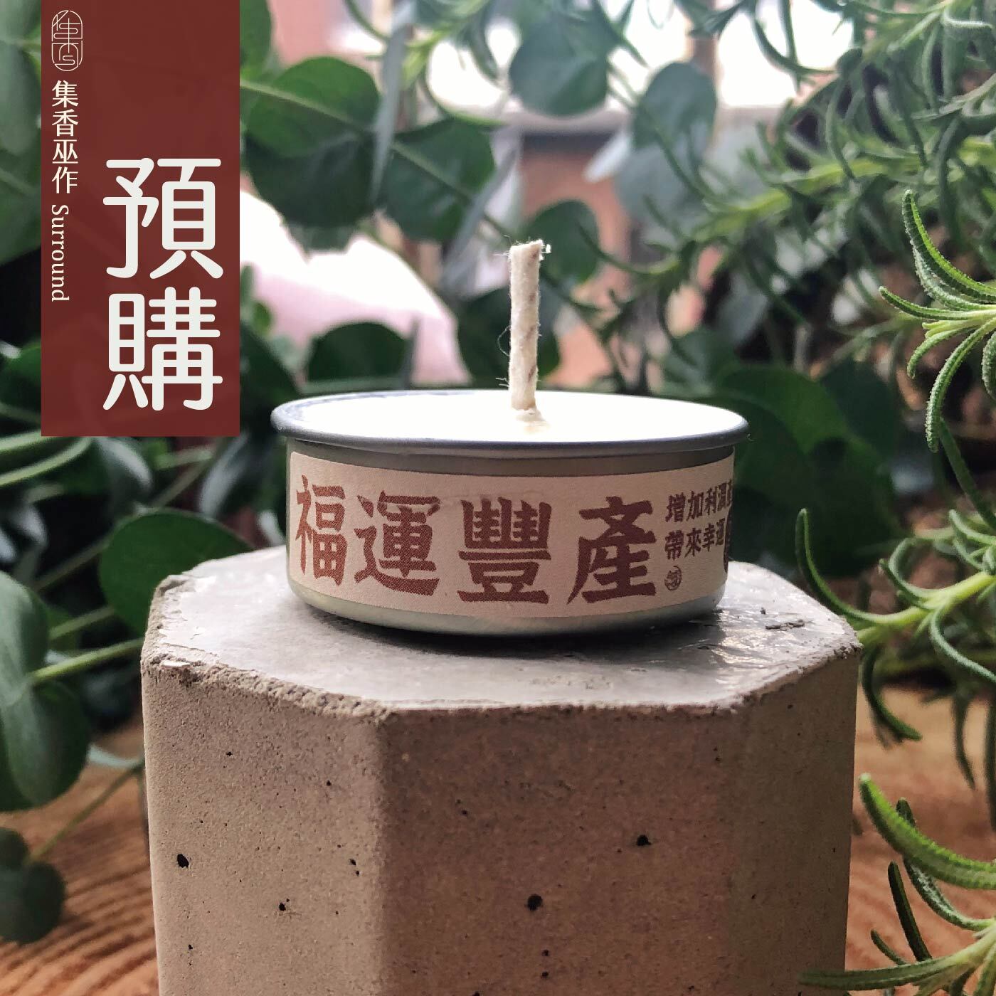 福運鐵殼竹預購_工作區域 1