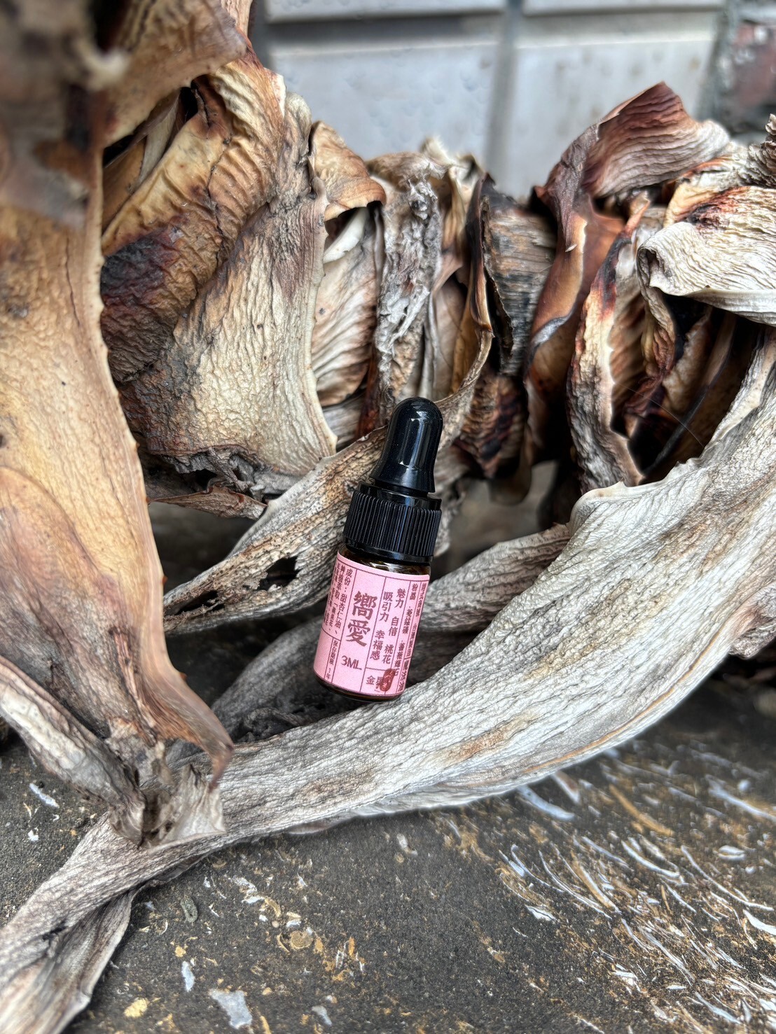 LINE_ALBUM_嚮愛_240717_7