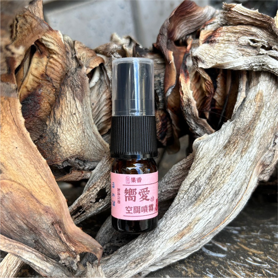 LINE_ALBUM_嚮愛_240717_11-1