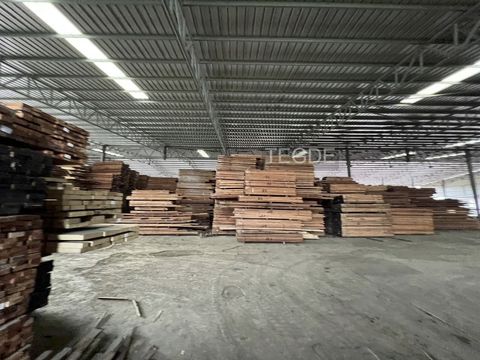 photo_2025-05-23_22-44-26 (2)