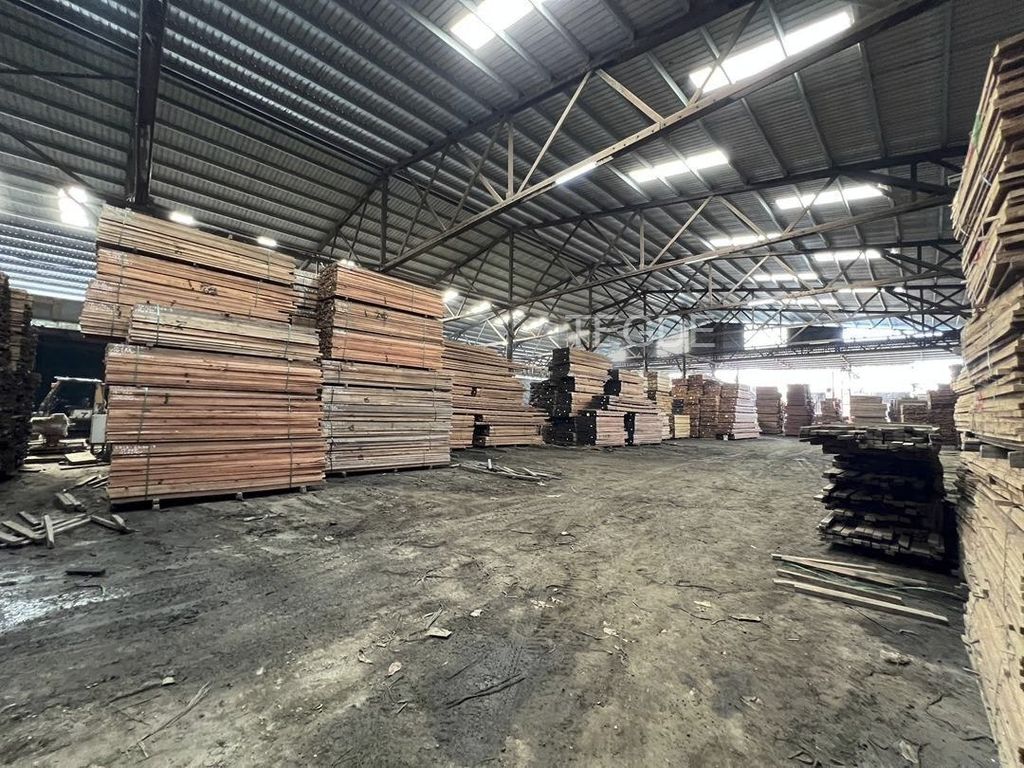 photo_2025-05-23_22-44-26 (4)