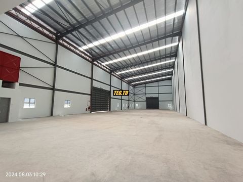 photo_2025-06-28_12-14-28 (3)