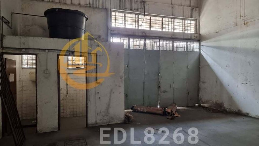 photo_2025-06-25_01-42-06 (6)