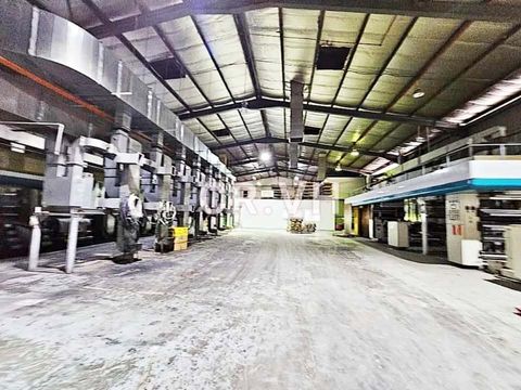 photo_2025-06-25_01-20-33