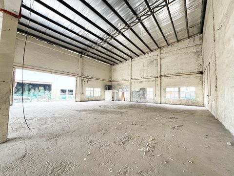 photo_2025-03-19_22-25-17 (2)