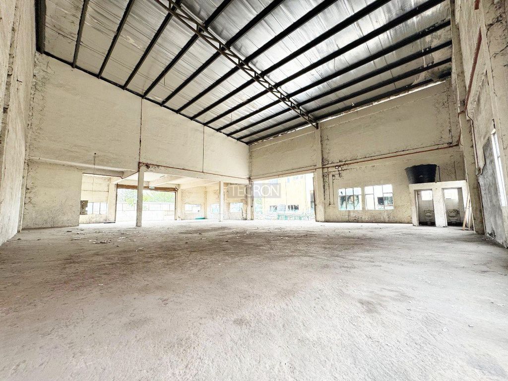 photo_2025-03-19_22-25-17 (6)