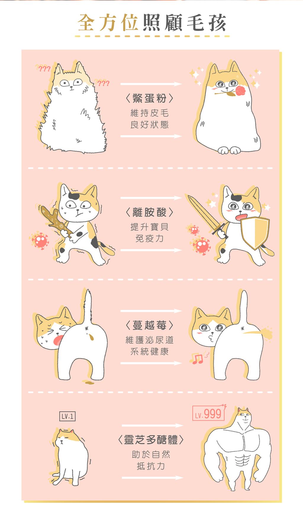 200824_黑貓侍新素材-01-crop_02