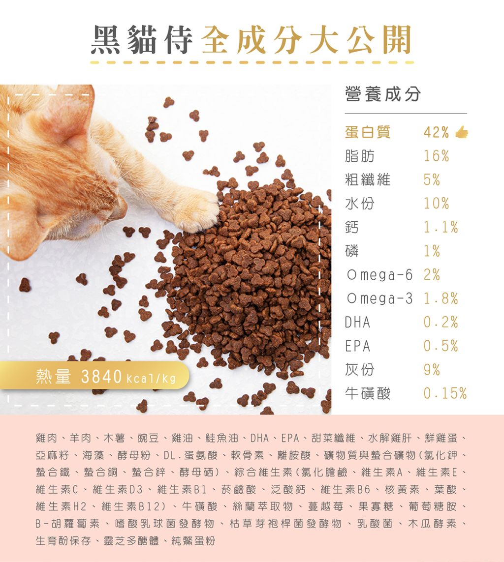 200824_黑貓侍新素材-02-crop_01