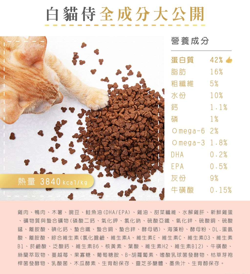 200827_白貓侍新素材-02-crop_01