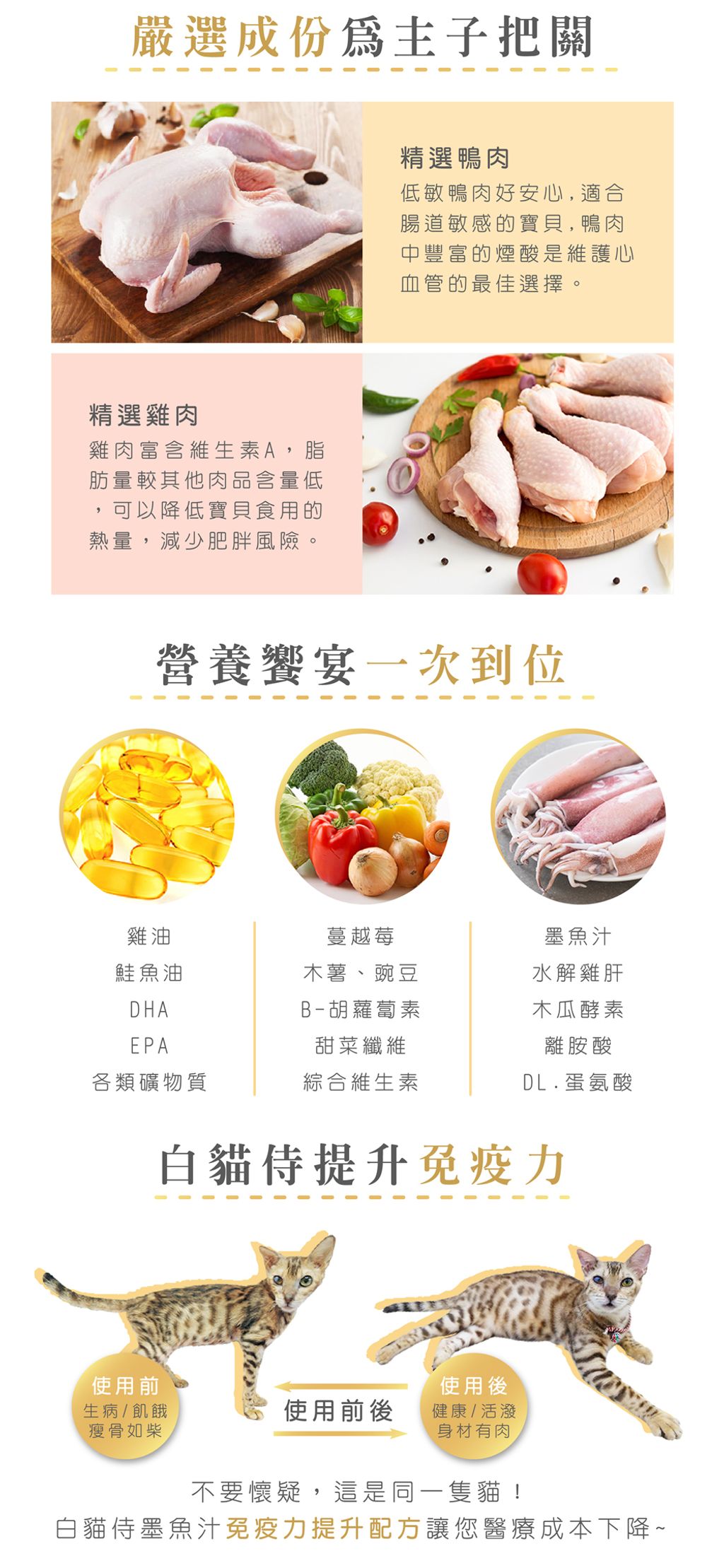 200827_白貓侍新素材-01-crop_03