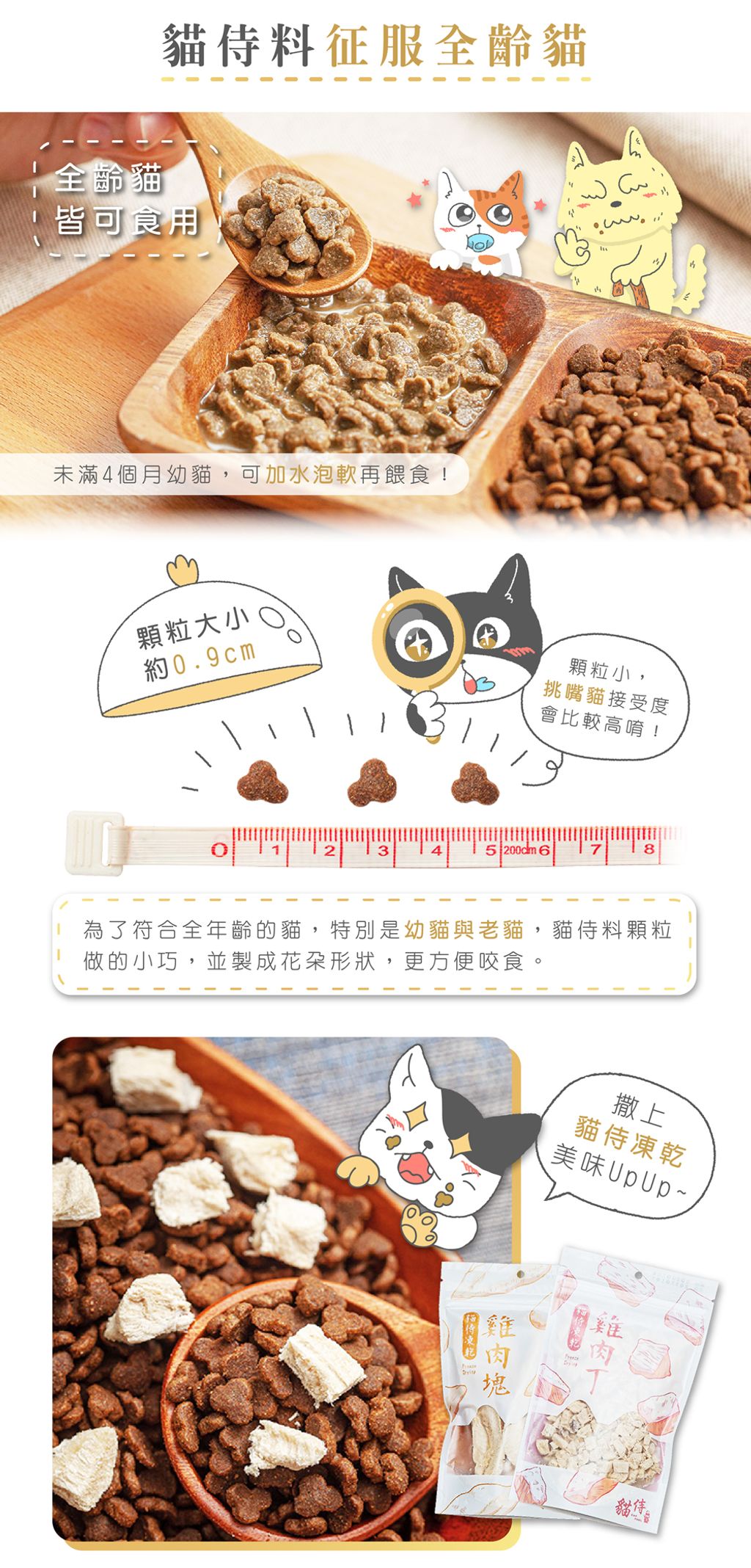 200824_黑貓侍新素材-01-crop_04