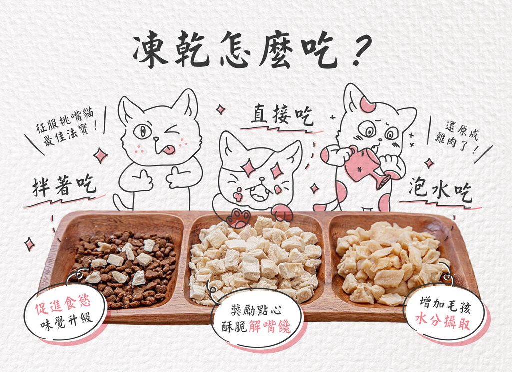 200724_貓侍凍乾丁長條圖-04