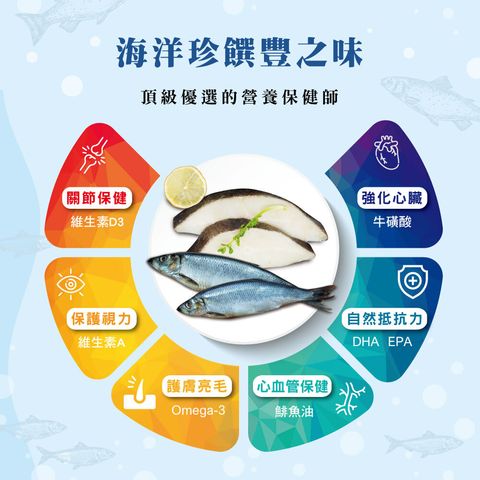 ND天然海洋貓糧 (2)