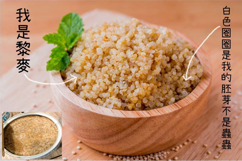 VetLife獸醫寵愛天然處方貓罐 (2)