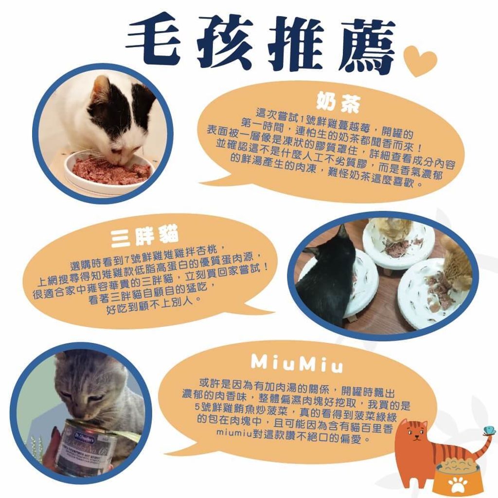 嚴選主食貓罐 (8)
