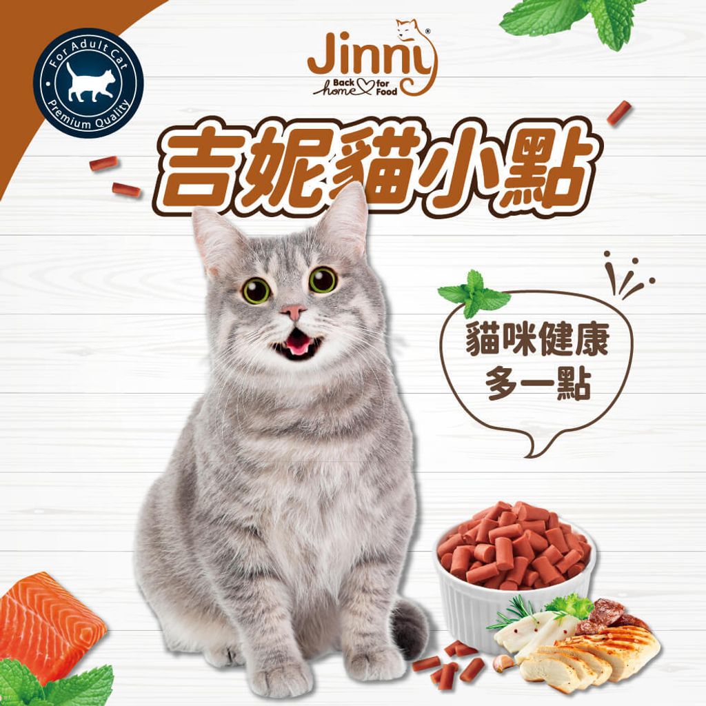 吉妮貓Jinny (1)