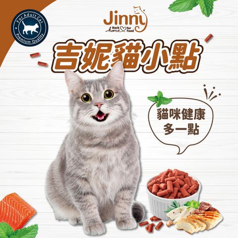 吉妮貓Jinny (1)