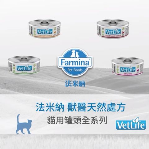 VetLife獸醫寵愛天然處方貓罐 (4)
