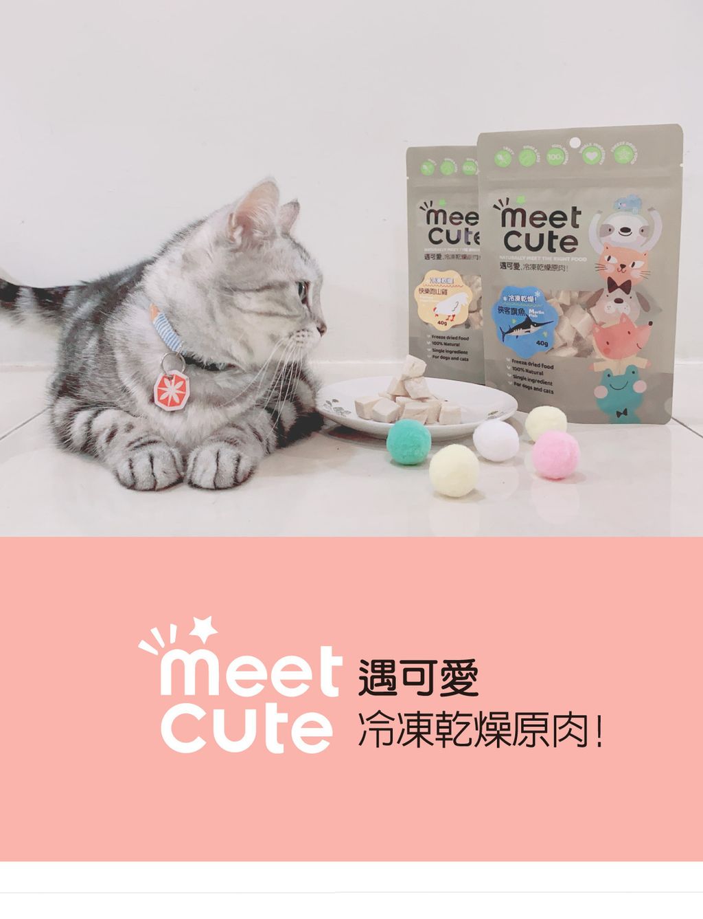 冷凍乾燥原肉 (5)