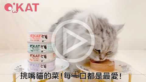 美喵人生。肉泥主食罐 (1)