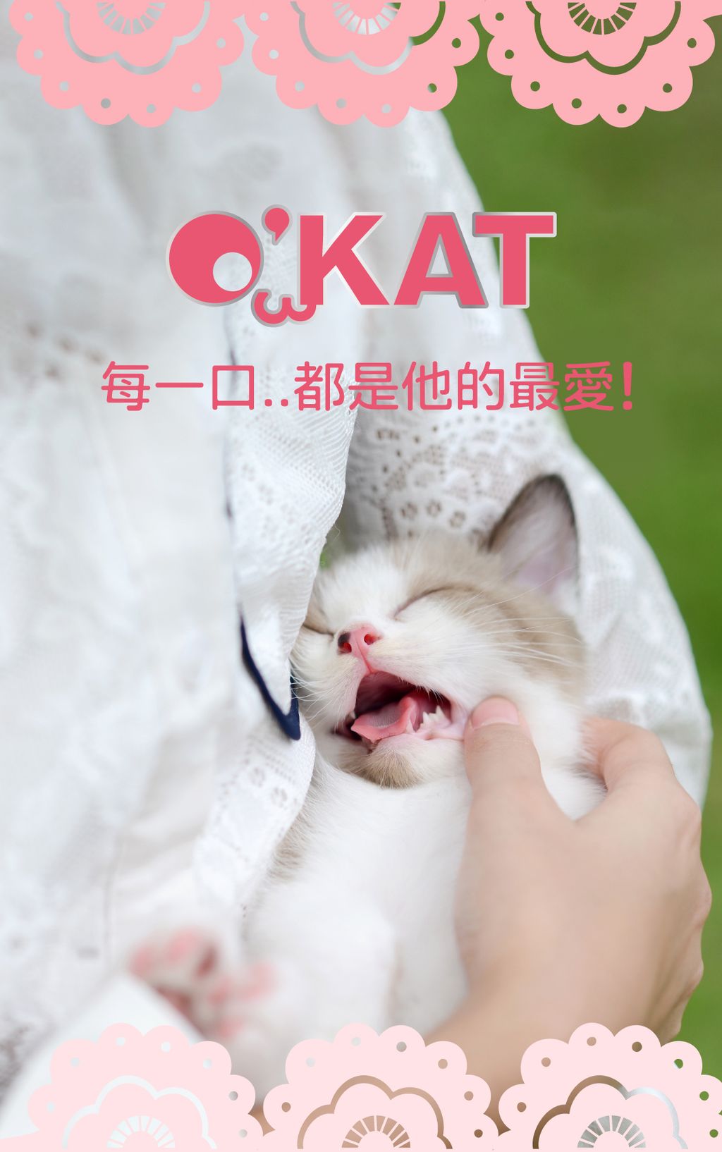 美喵人生。肉泥主食罐 (6)