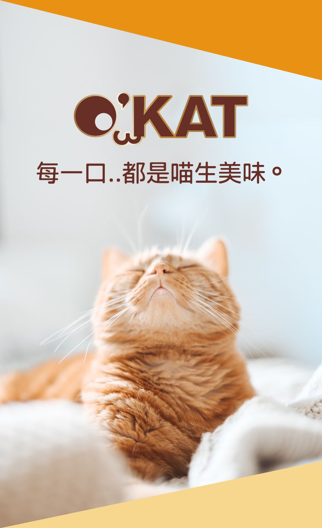 O’KAT。貓舒食主食罐 (6)