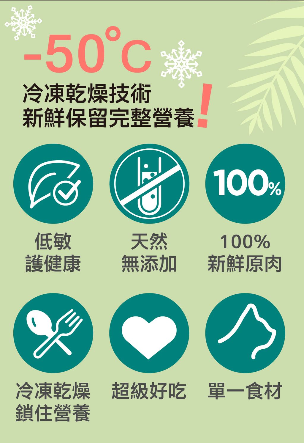 美喵人生。冷凍乾燥原肉 (22)