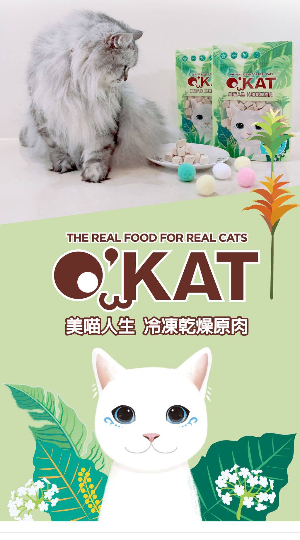 美喵人生。冷凍乾燥原肉 (23)