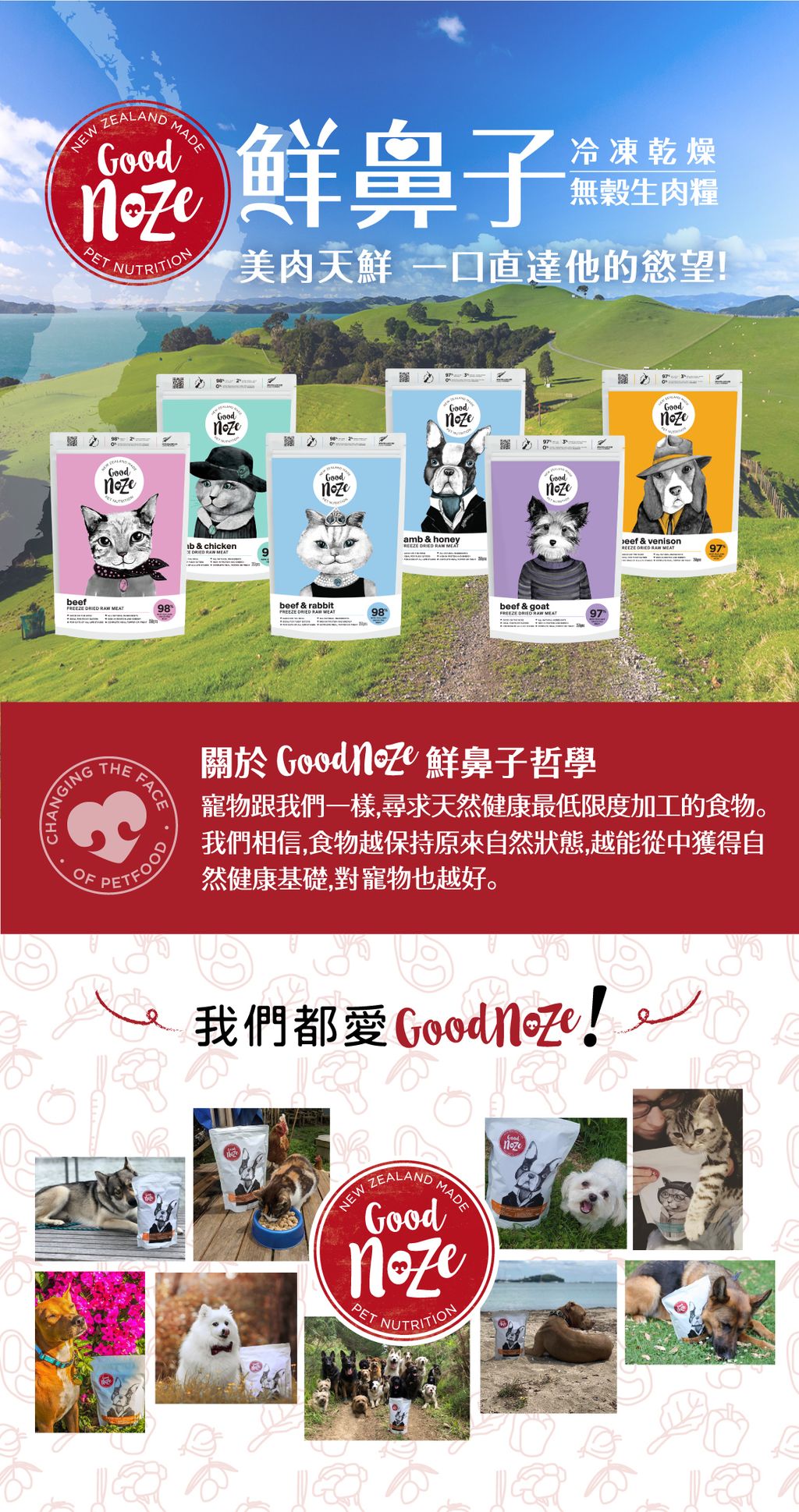 鮮鼻子 冷凍乾燥生肉貓糧 (9)