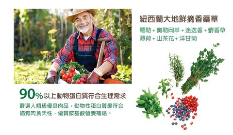 香草魔法 無穀貓香草糧 (2)