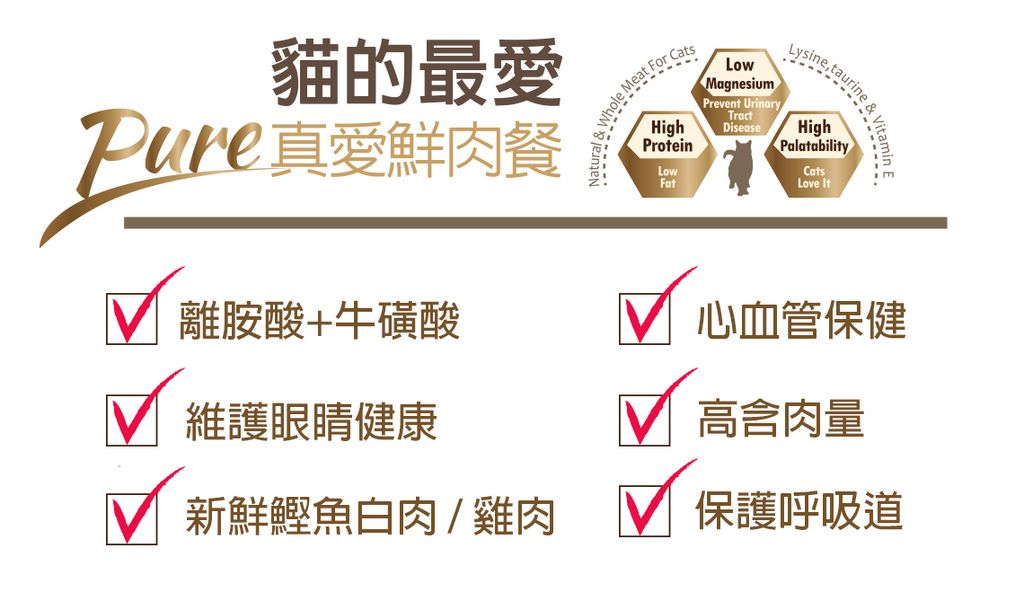 爵士貓吧鮮肉餐 (11)