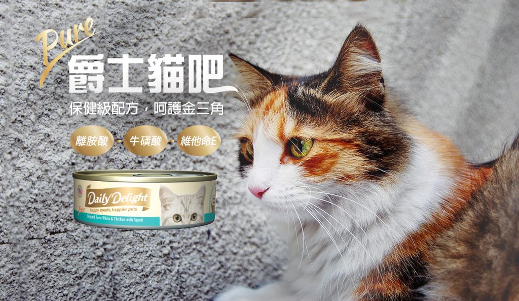 爵士貓吧鮮肉餐 (2)