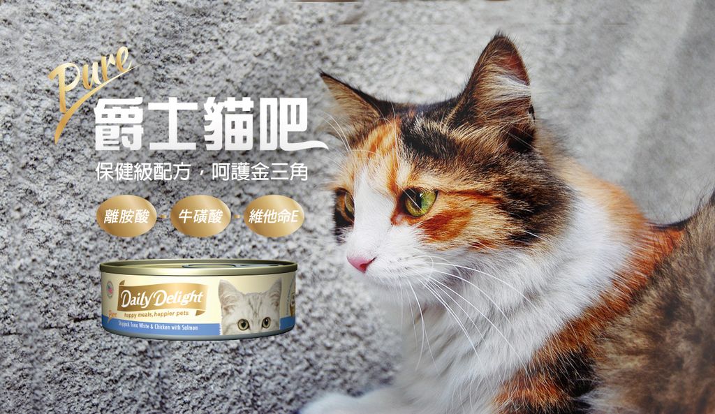 爵士貓吧鮮肉餐 (4)