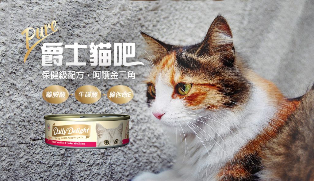 爵士貓吧鮮肉餐 (6)