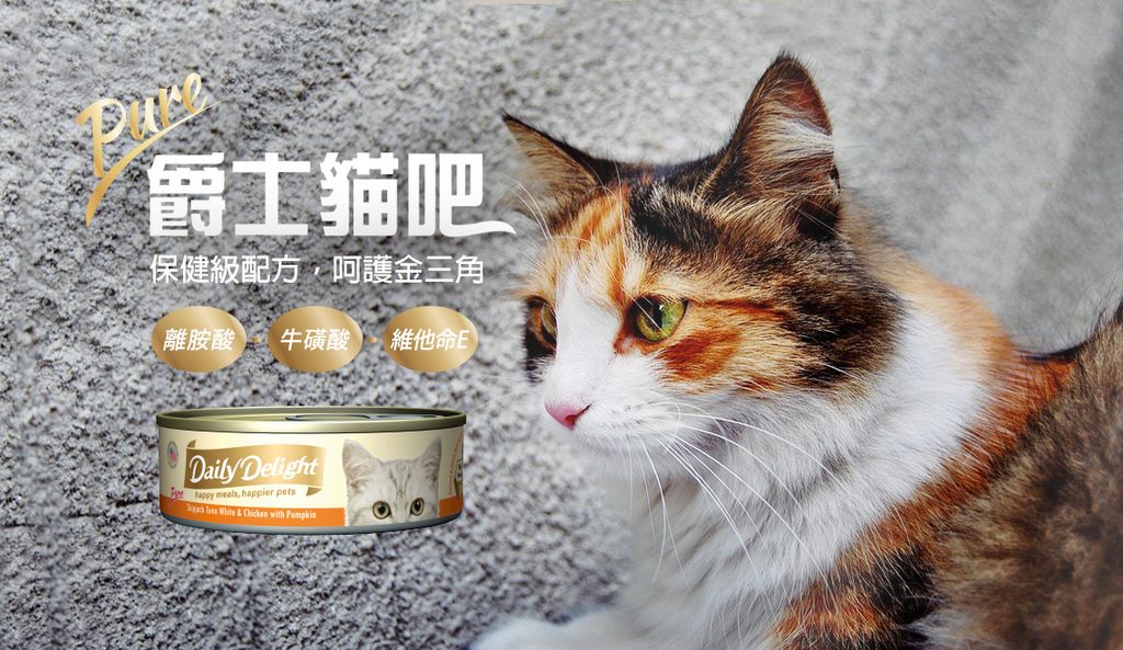 爵士貓吧鮮肉餐 (10)