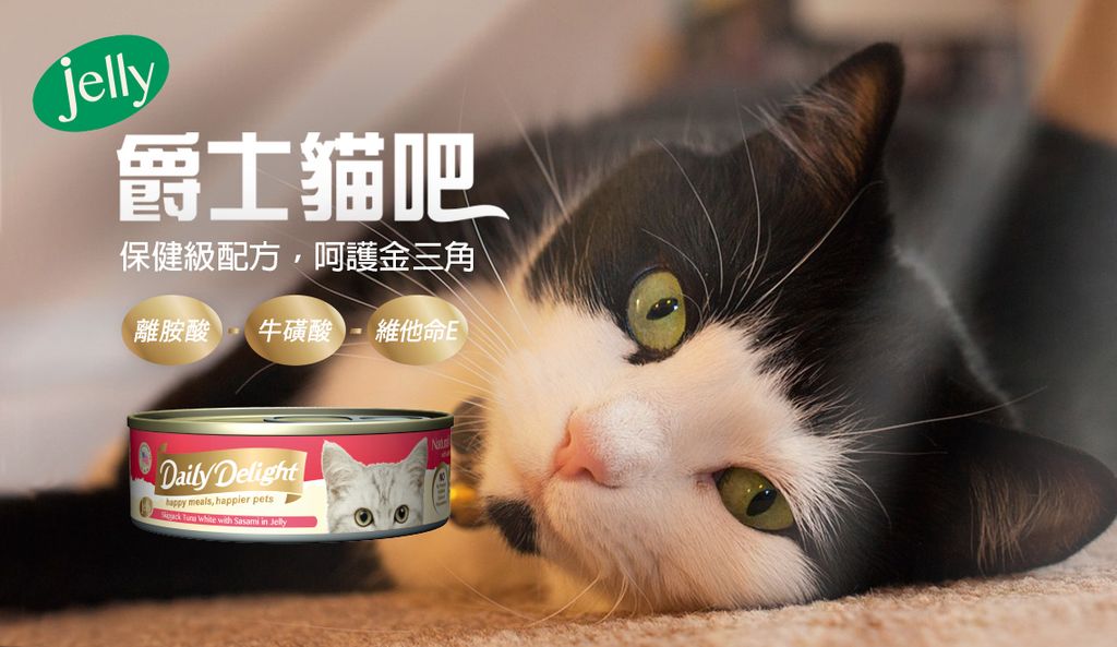 爵士貓吧化毛餐 (2)