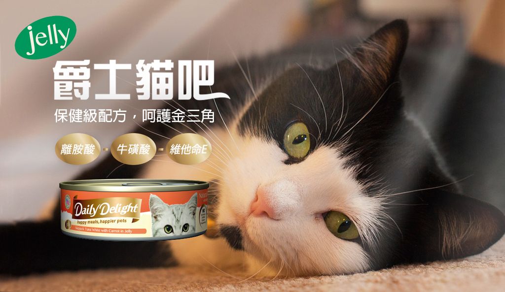 爵士貓吧化毛餐 (5)